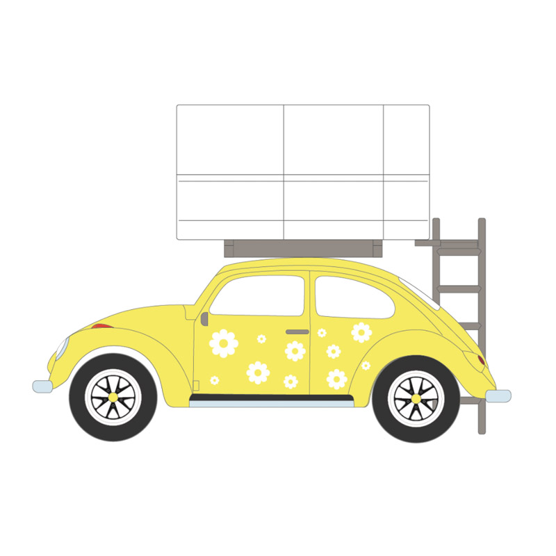 Classic Beetle