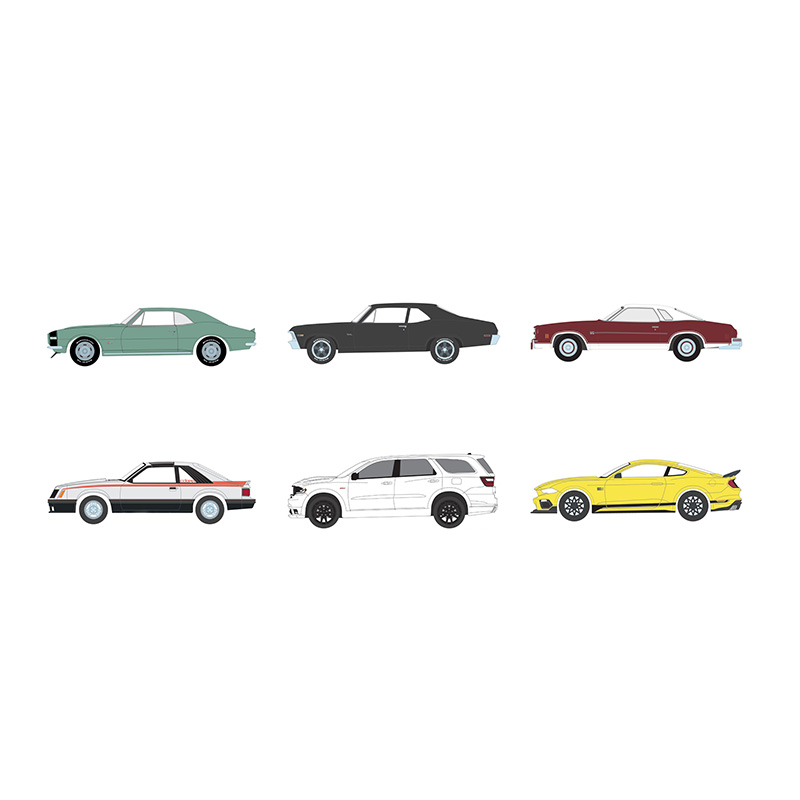 GL Muscle Series #27