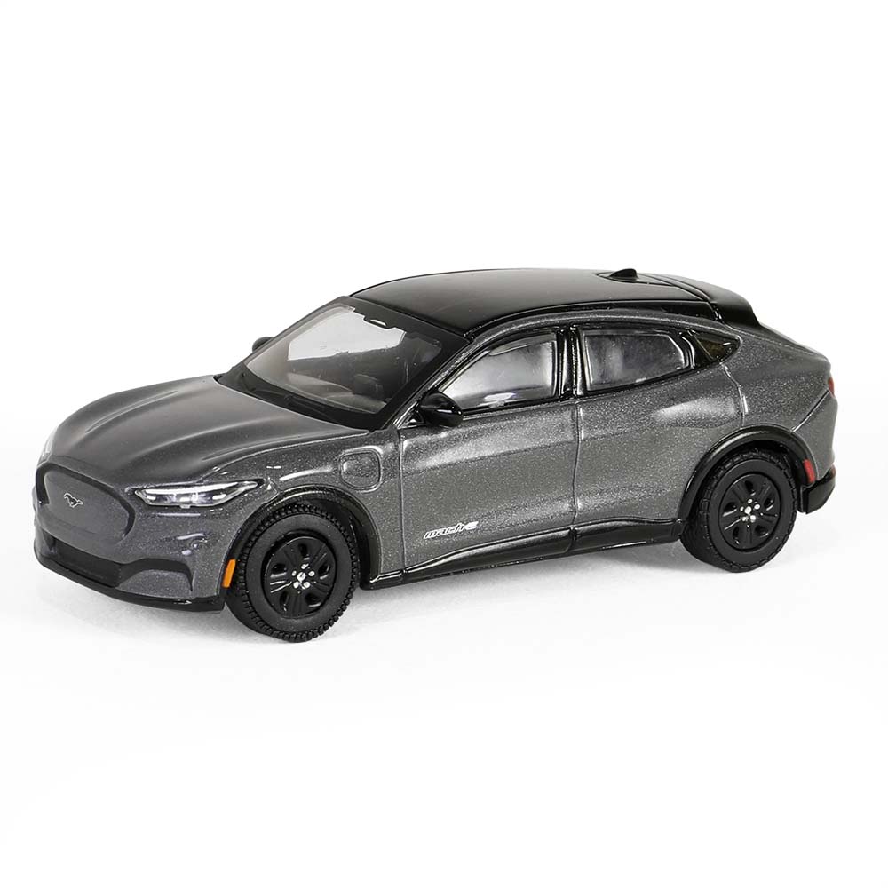 Mustang Mach-E California Route 1