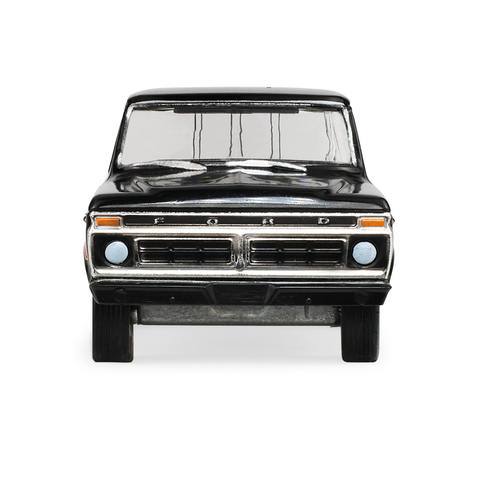 F-100自由竞速条纹版 - 炫黑色