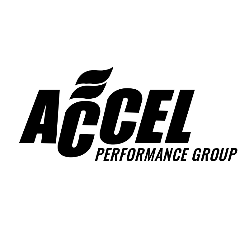ACCEL 性能系统